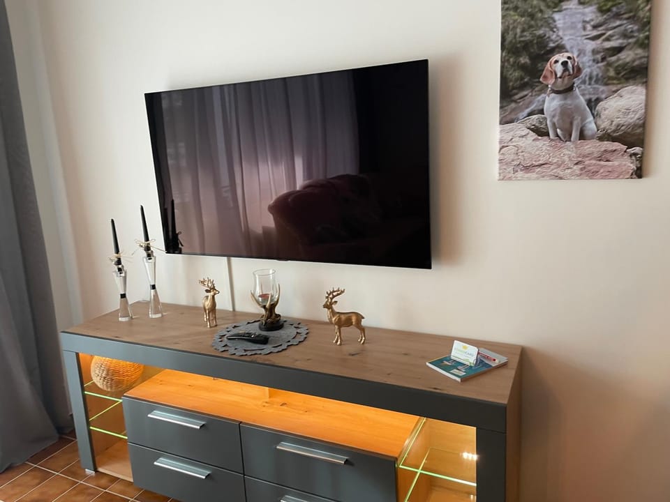 TV and multimedia