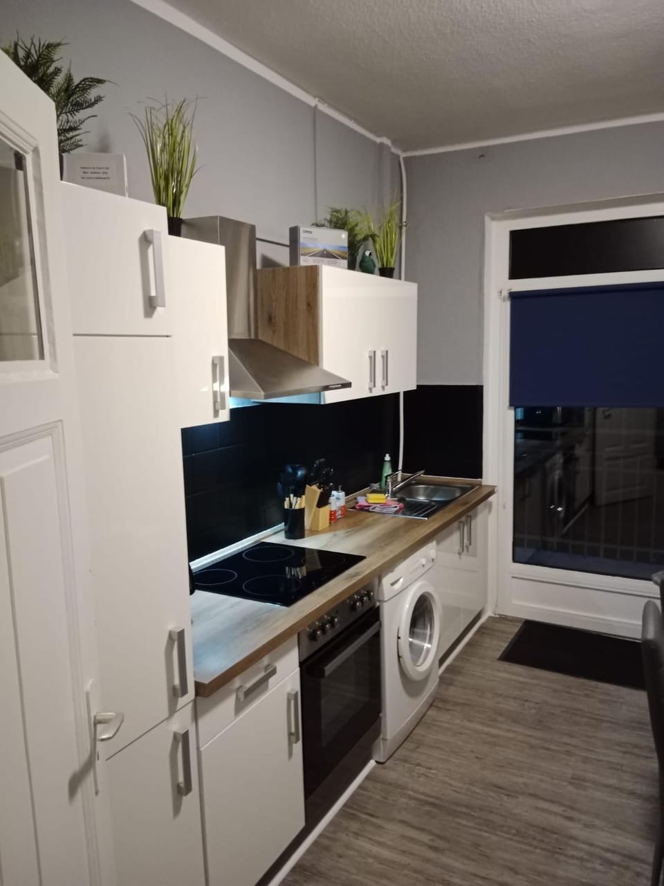 Kitchen or kitchenette, pet friendly, stove, washing machine
