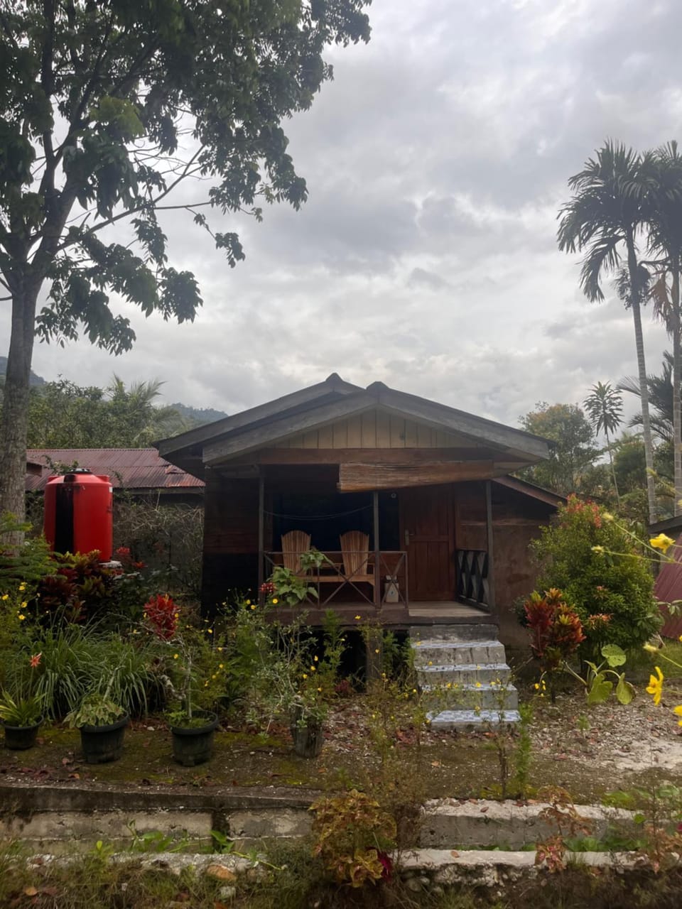 Wisma cinta alam ketambe Bed and Breakfast in Indonesia