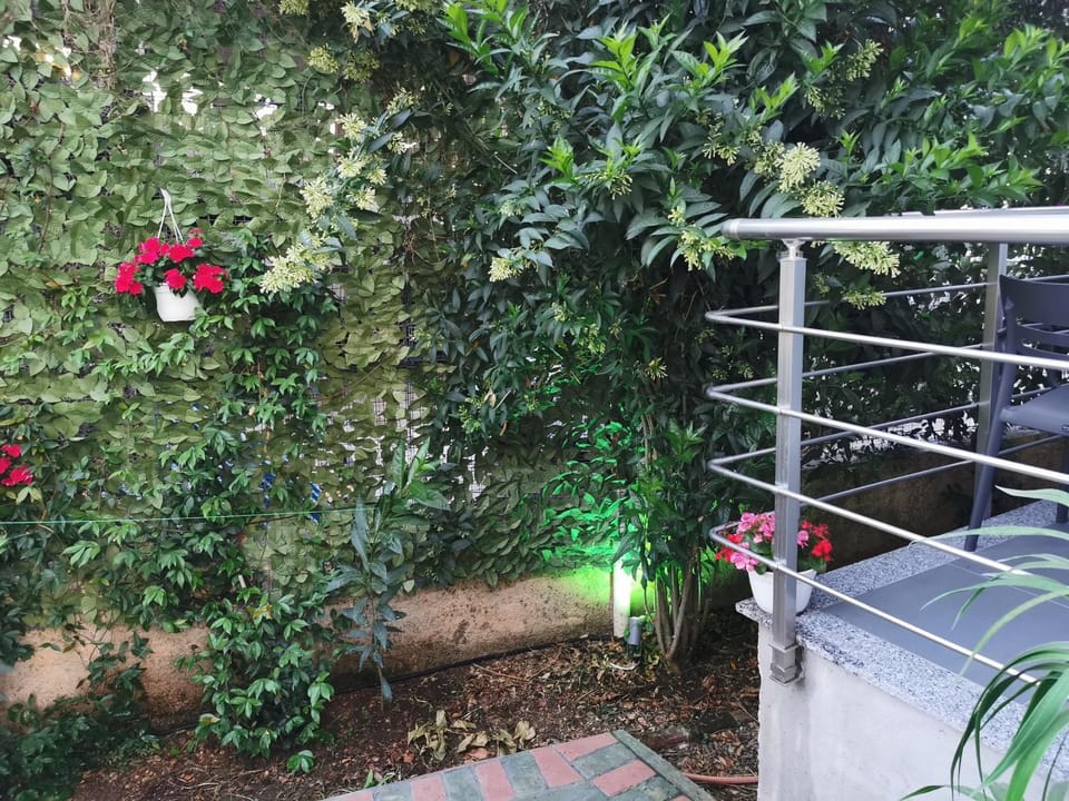 Garden, Garden view