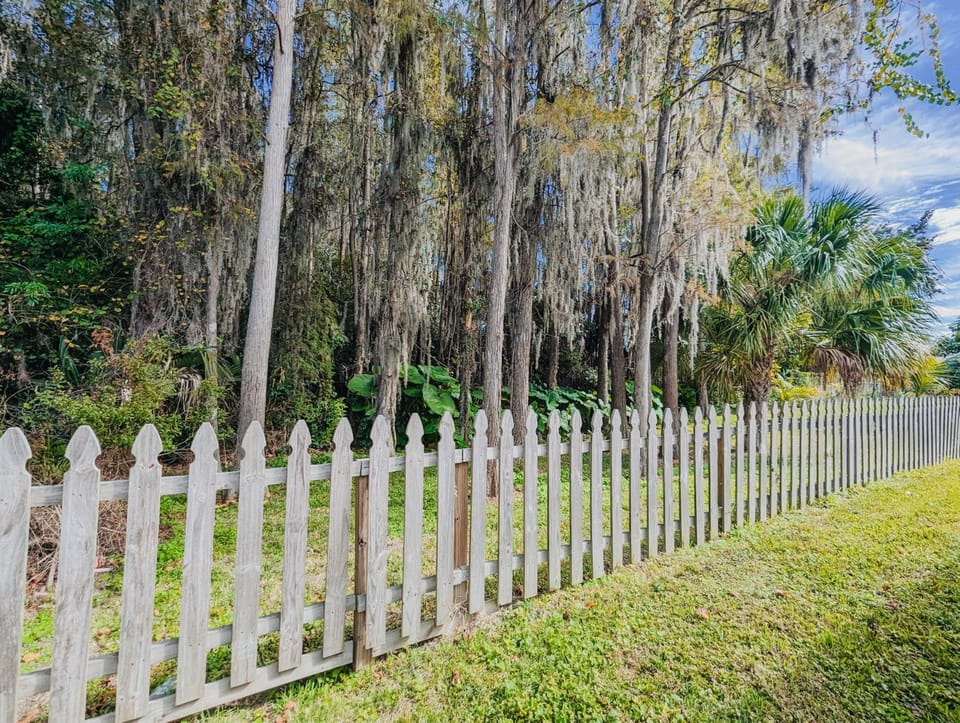 Natural landscape, Garden view