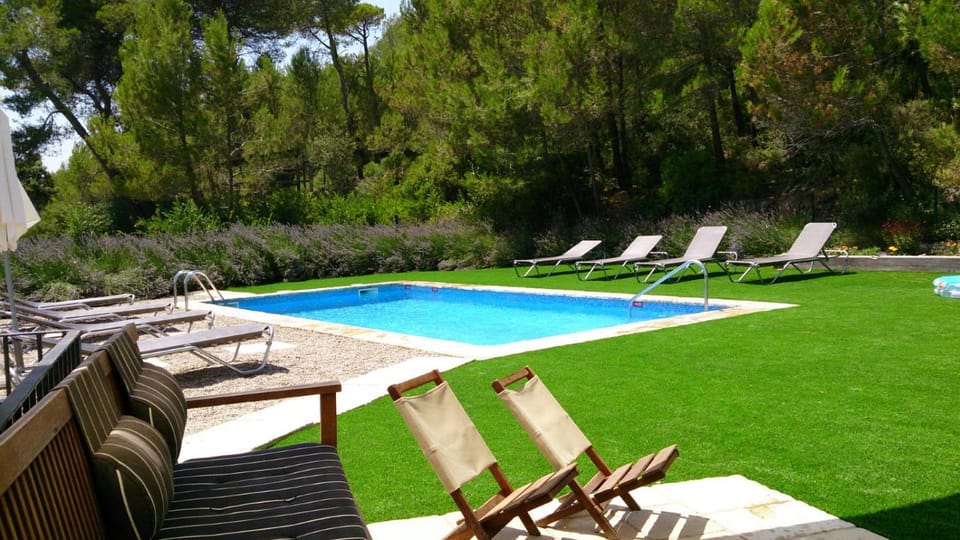 Garden, Pool view, Swimming pool, sunbed