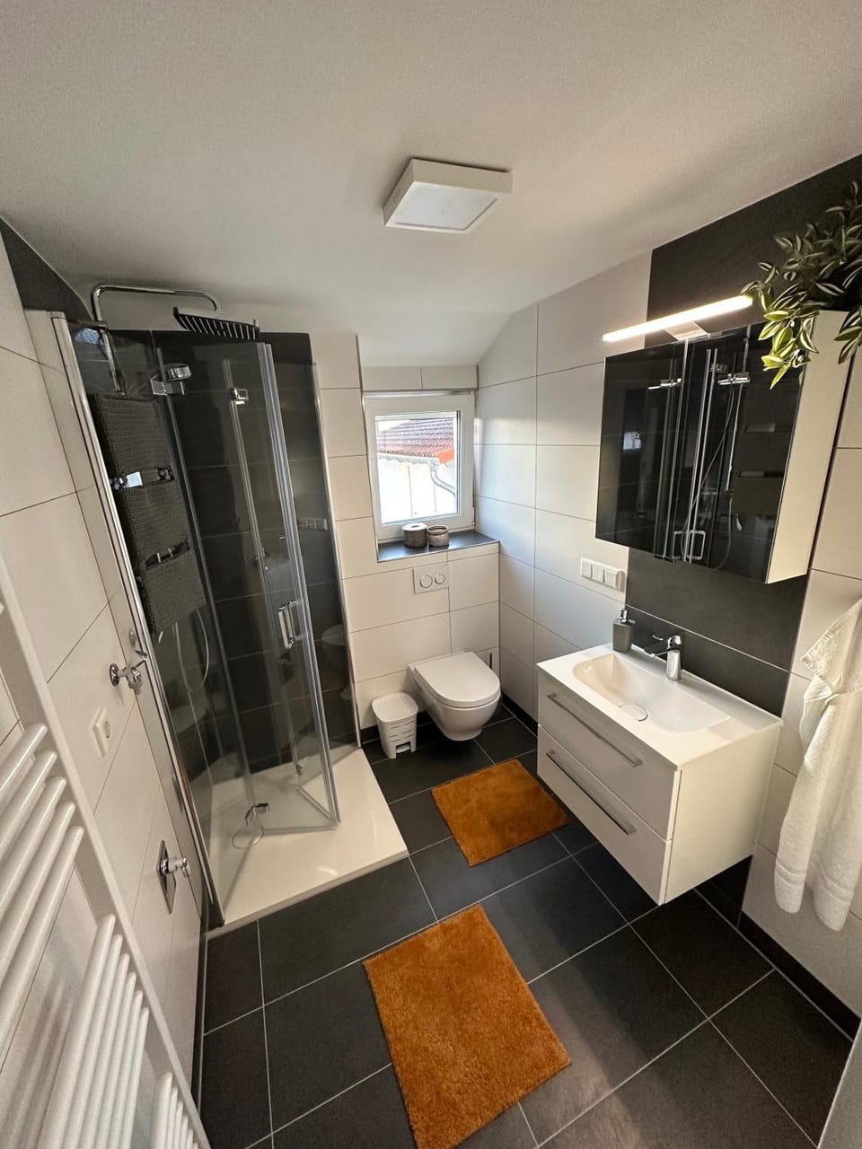 Shower, Bathroom
