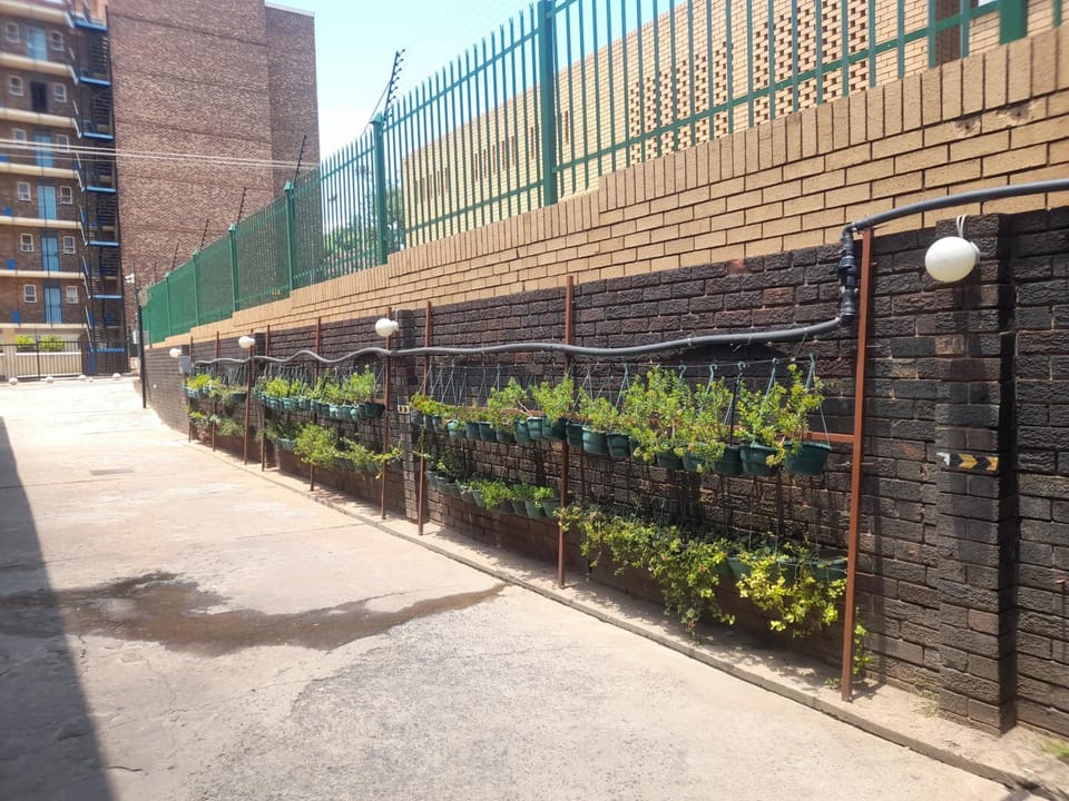 Property building, Spring, Day, Garden, Garden view