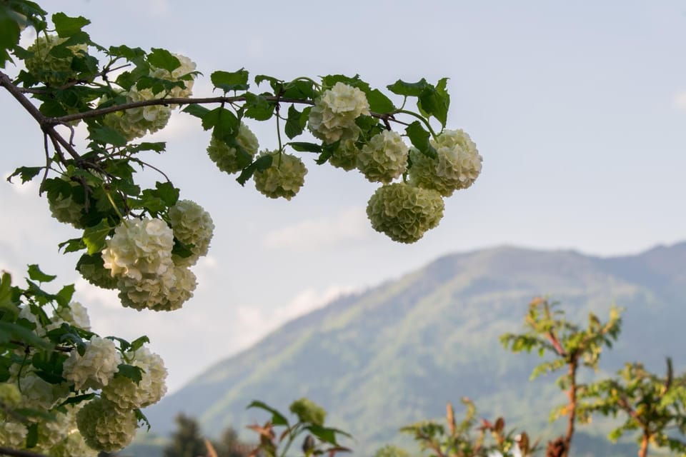 Natural landscape