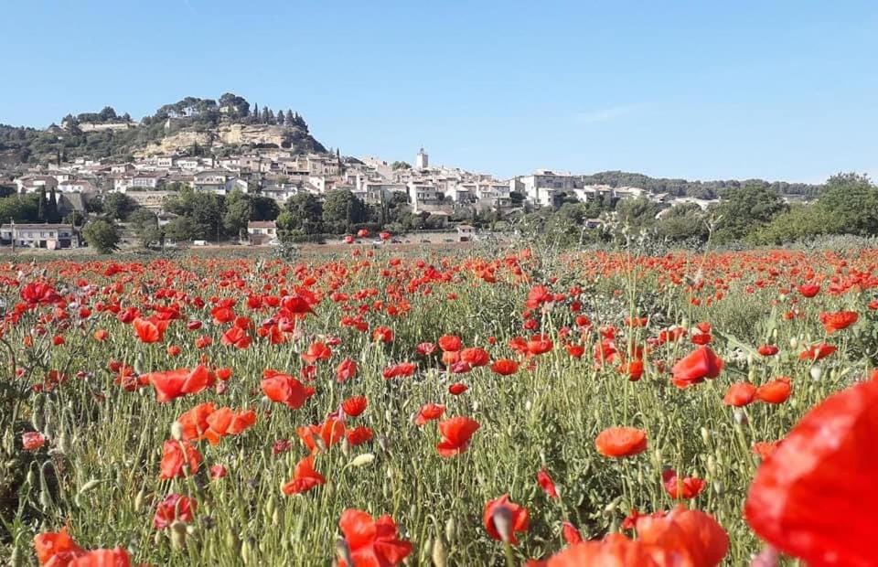Nearby landmark, Spring