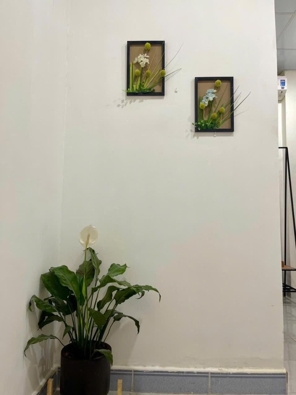 Homestay Mia Diệu Nhàn Phú Quốc Bed and Breakfast in Phu Quoc