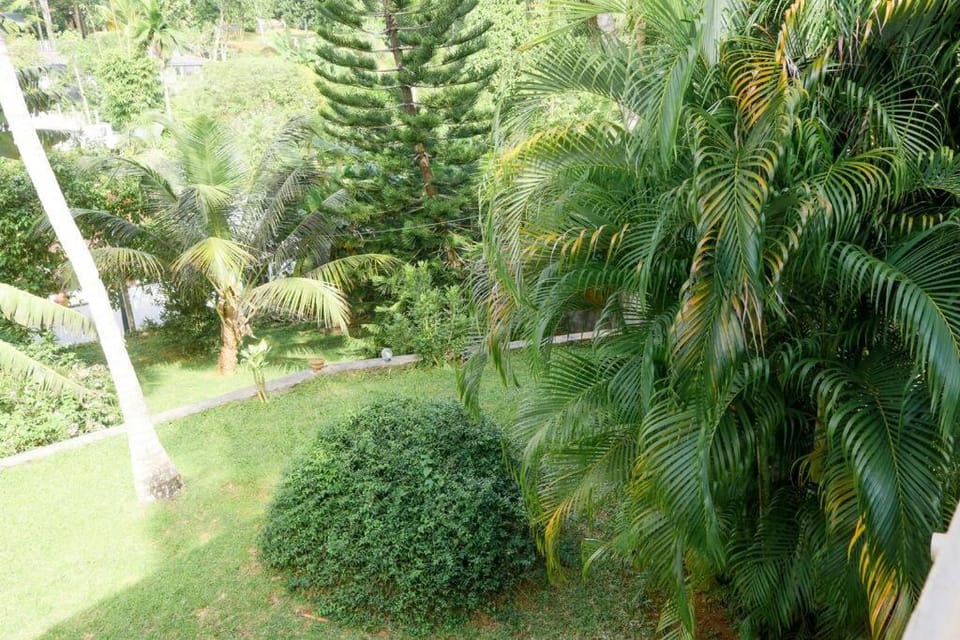 Day, Natural landscape, Garden