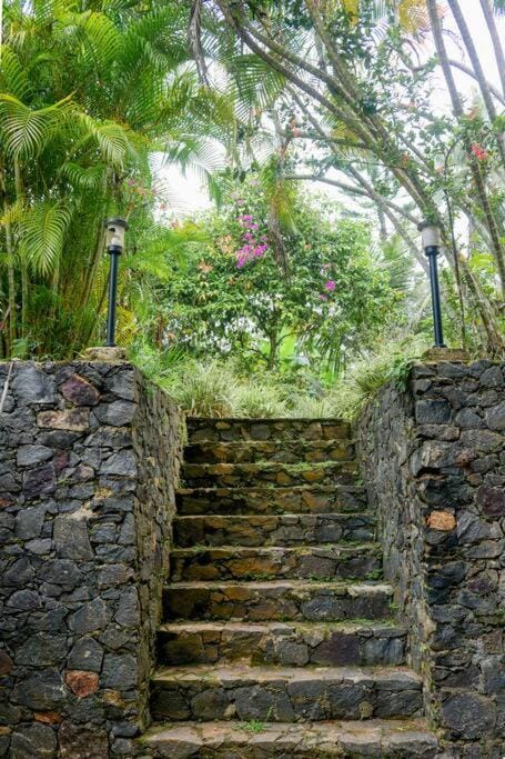 Facade/entrance, Garden