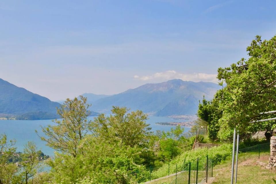 Lake view