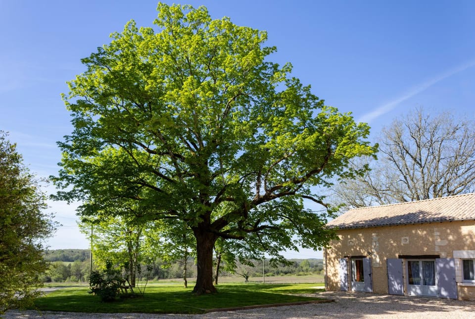 Property building, Natural landscape, Garden view