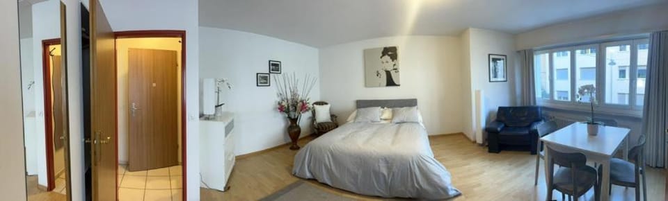 Schweiz (302) Apartment in Basel