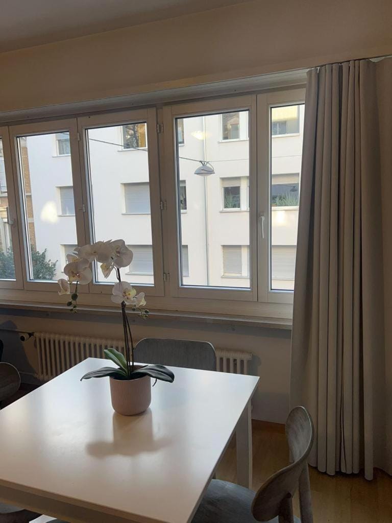 Schweiz (302) Apartment in Basel