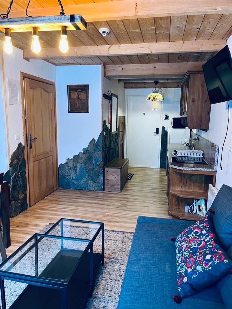 Butorowy Cichy Potok Apartment in Zakopane