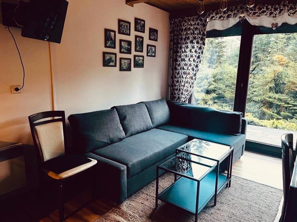 Butorowy Cichy Potok Apartment in Zakopane