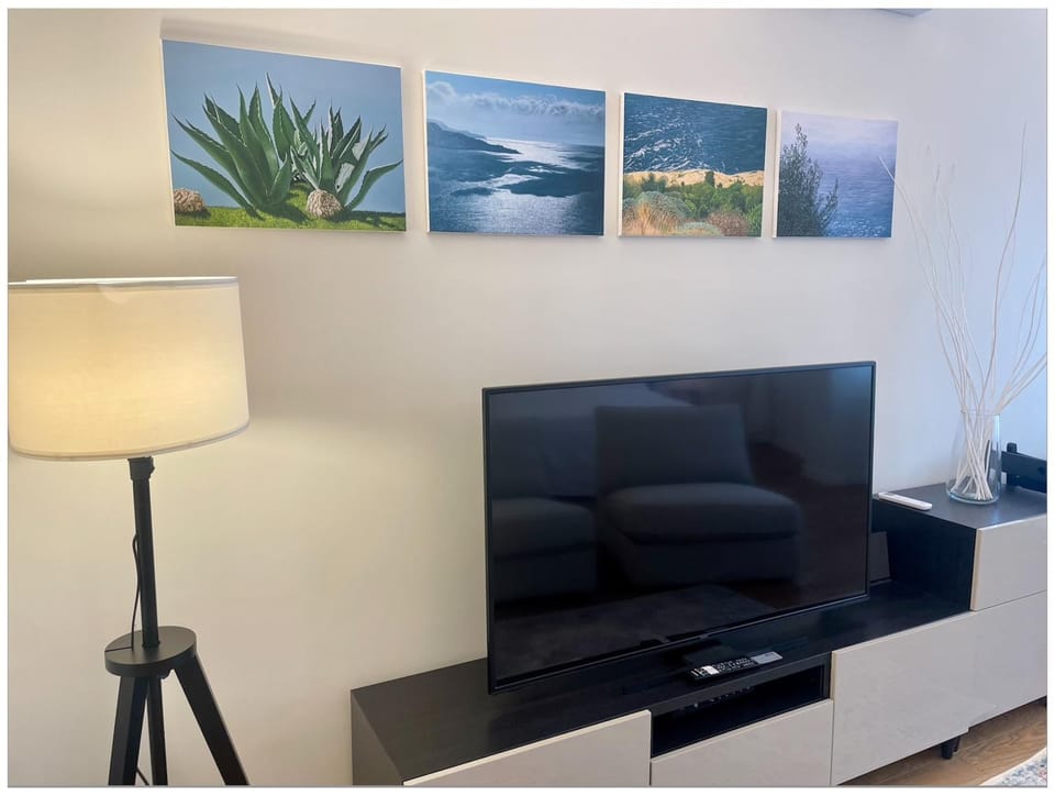TV and multimedia