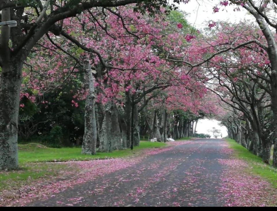 Natural landscape