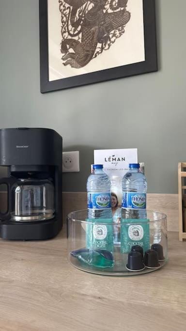 Destination Léman Apartment in Thonon-les-Bains