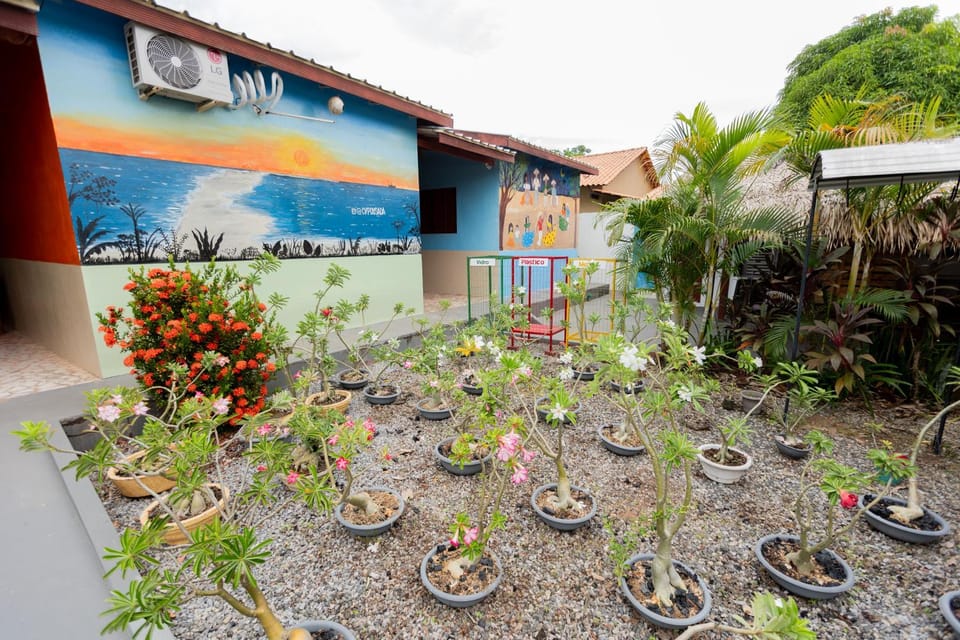 Property building, Garden