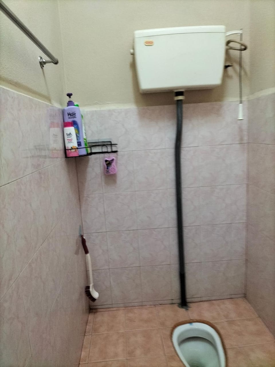 SRI TEGUH HOMESTAY House in Malaysia