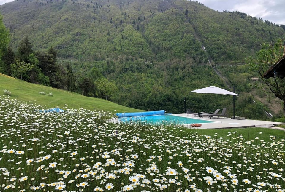 Garden view, Pool view