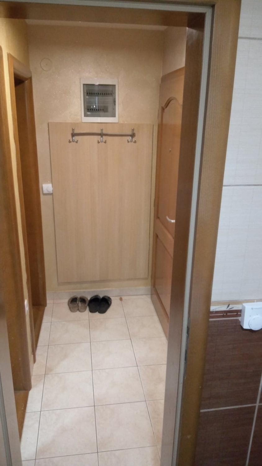 Apartman Dinić Zlatibor Apartment in Zlatibor