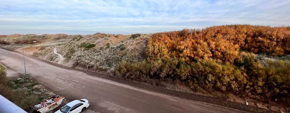 Day, Natural landscape