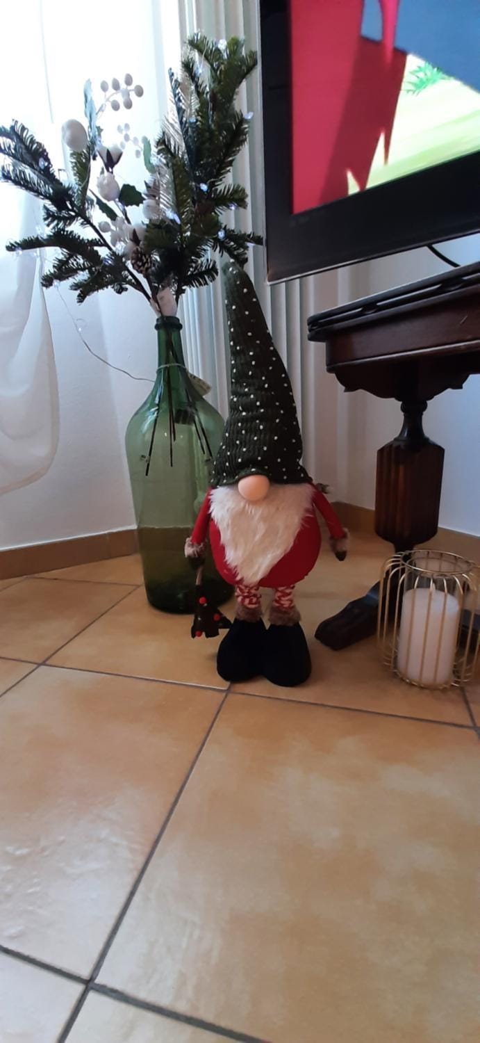 Il Centro Apartment in Ravenna