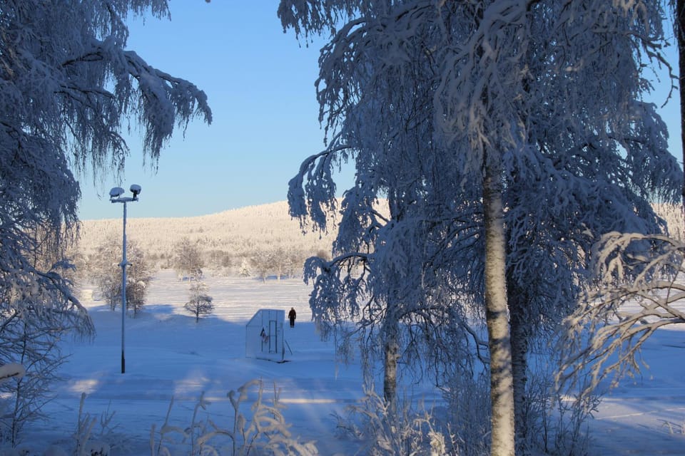 View (from property/room)