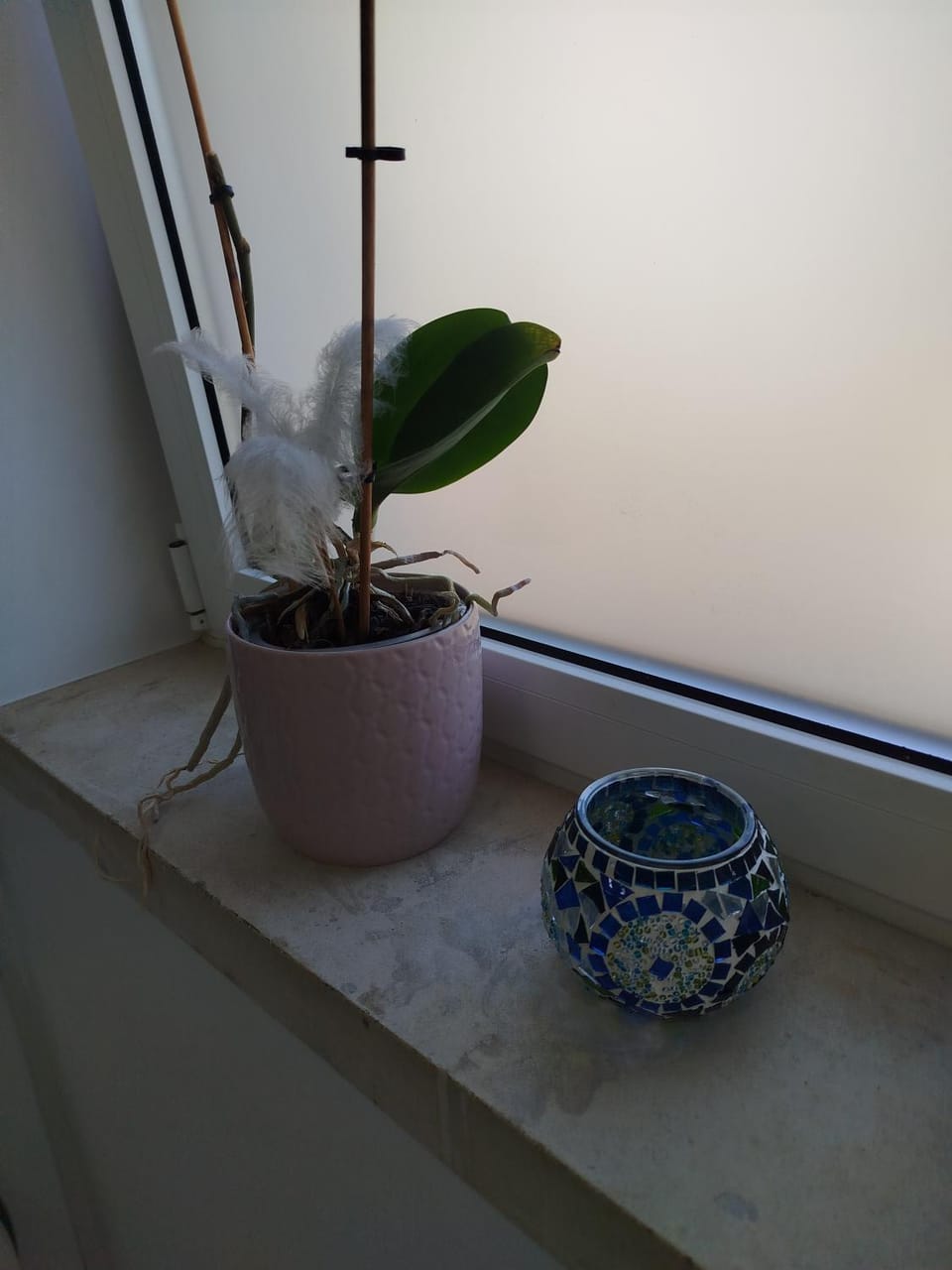Apartamento Palomar Apartment in Pombal