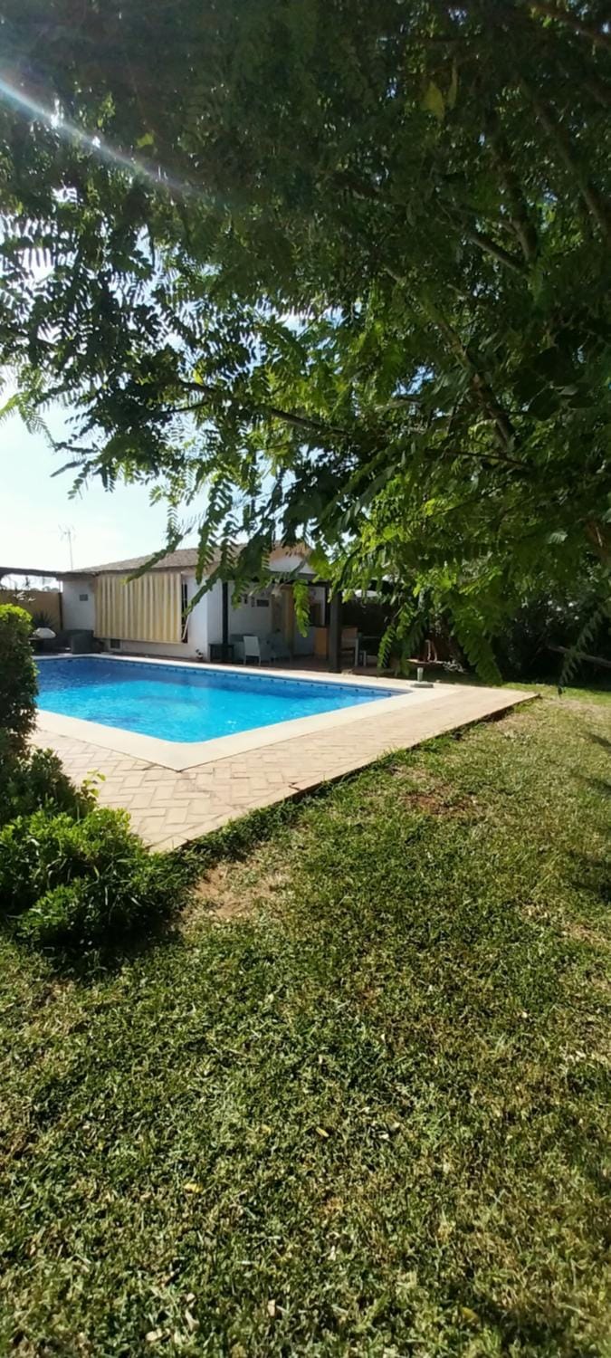 Natural landscape, Garden, Swimming pool