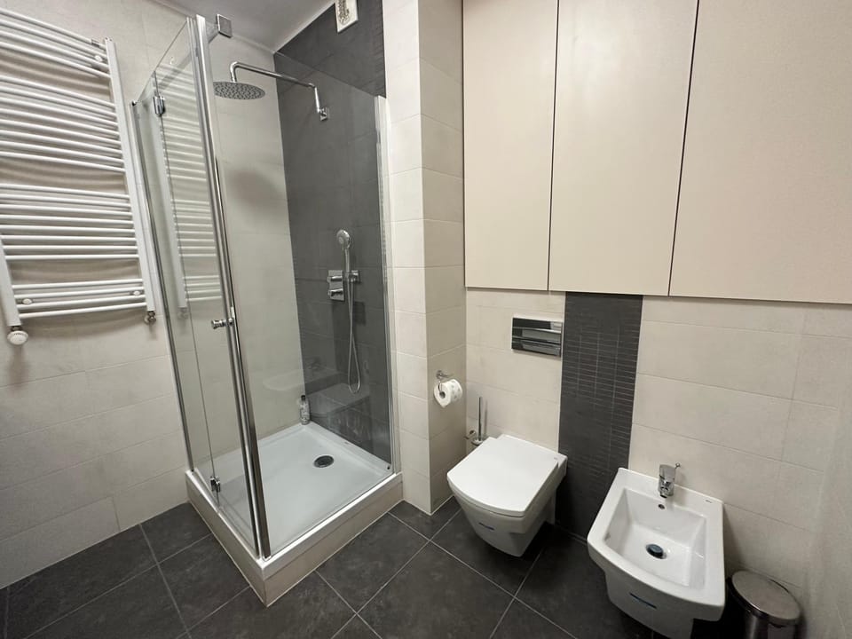 Shower, Toilet, Bathroom, bidet