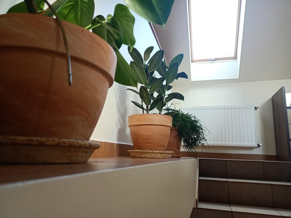 Apartament UP ROOMS-Targi Domek Apartment in Poland