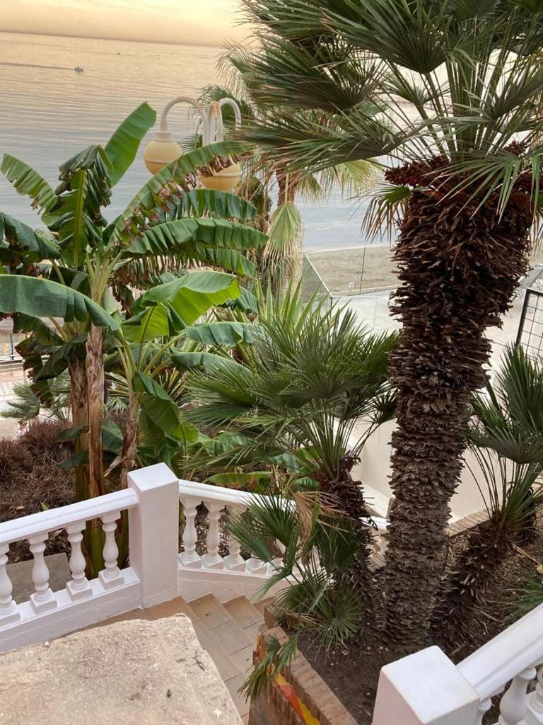 Vista Marina Apartment in Benalmadena