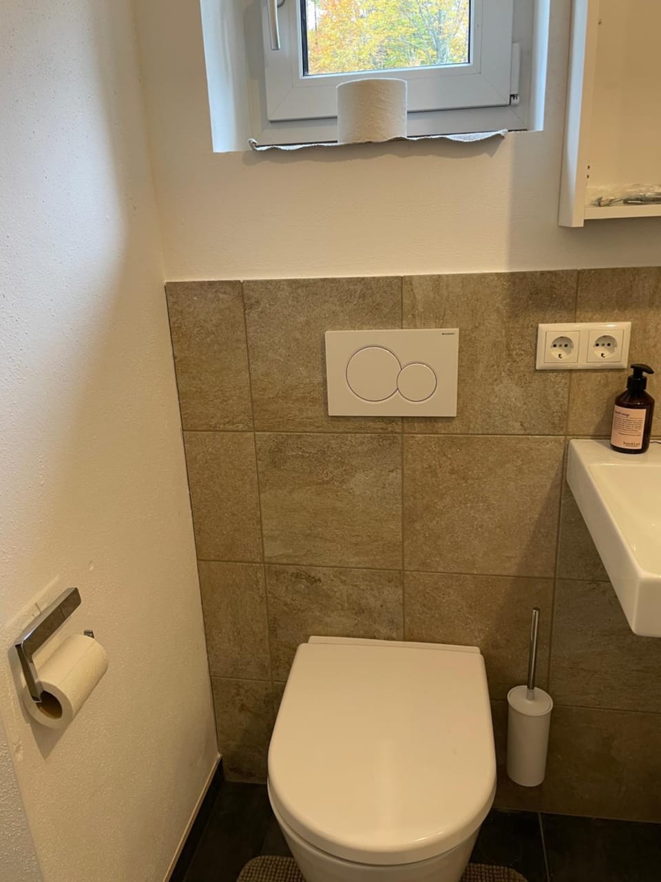 Toilet, Bathroom