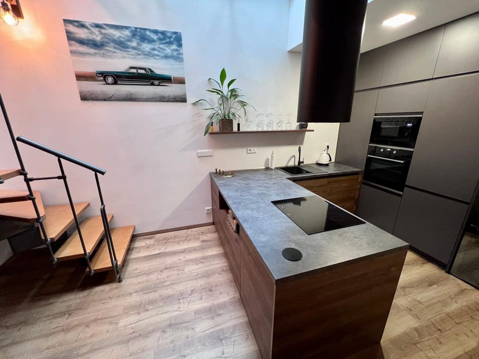 Kitchen or kitchenette, minibar, pet friendly, stove