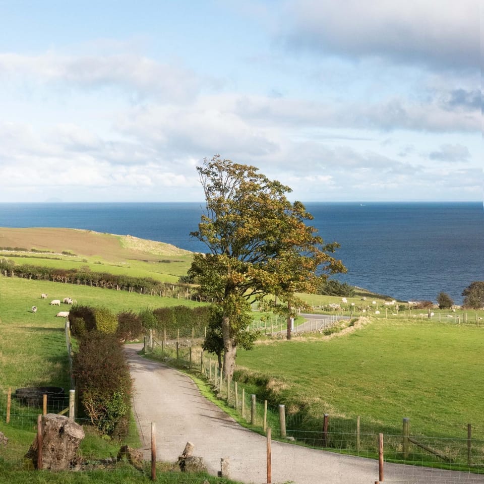 Spring, Natural landscape, Sea view