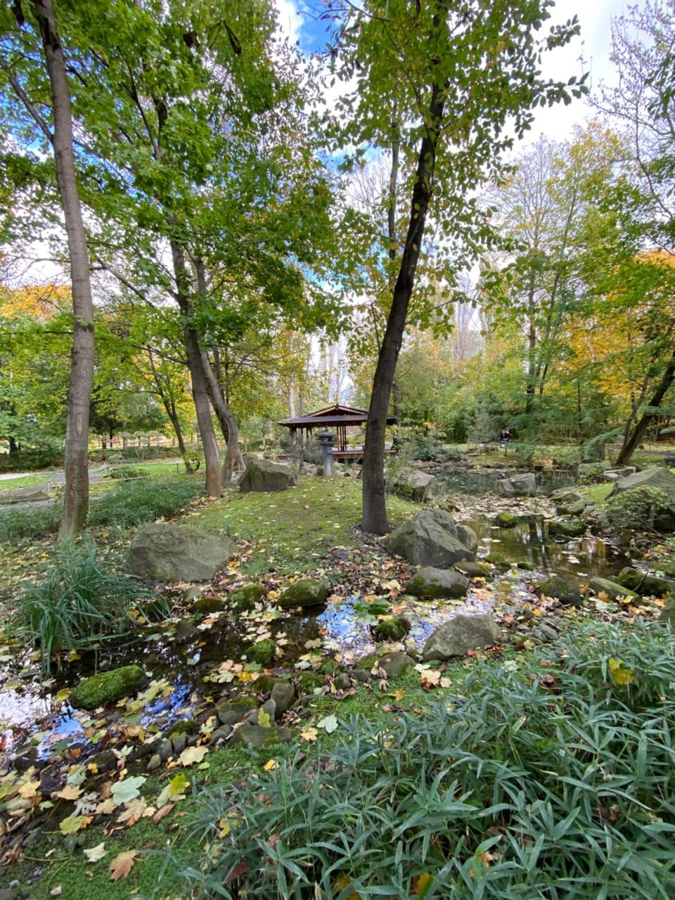 Nearby landmark, Natural landscape