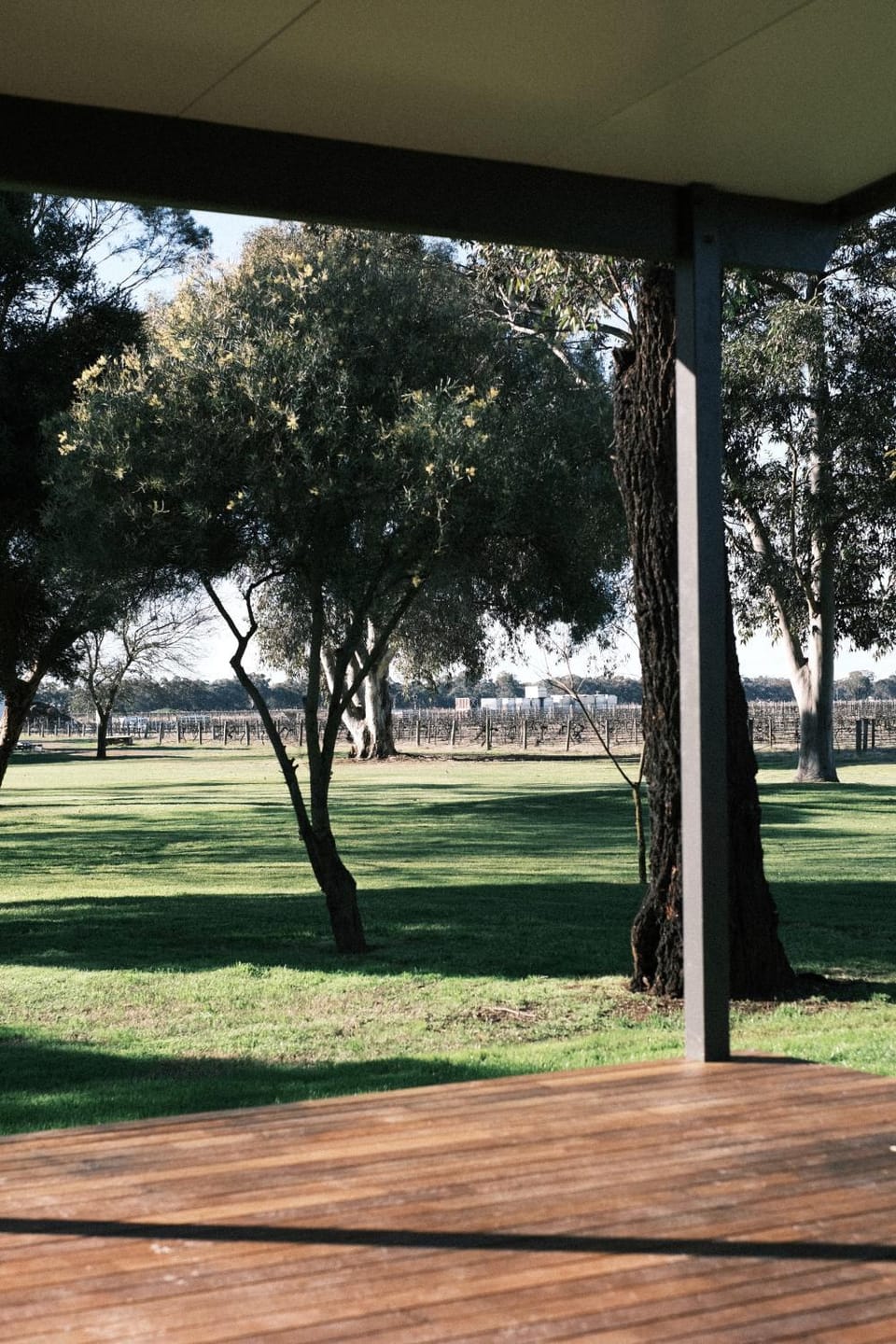 Garden view