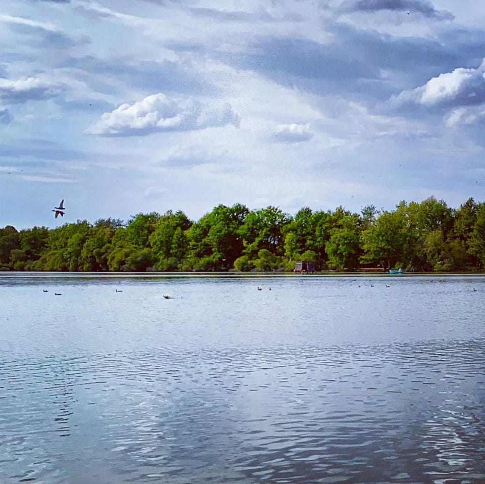 Natural landscape, Lake view