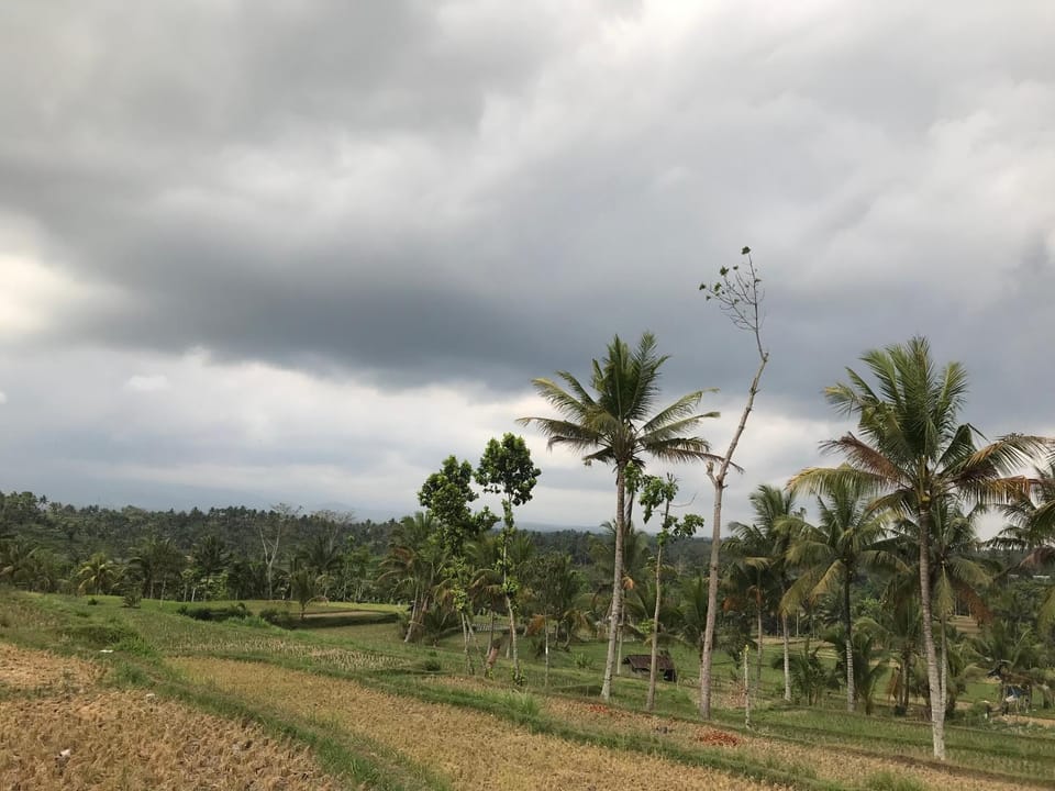 Day, Natural landscape