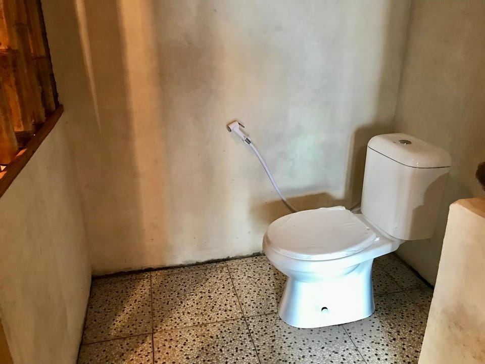 Toilet, Bathroom