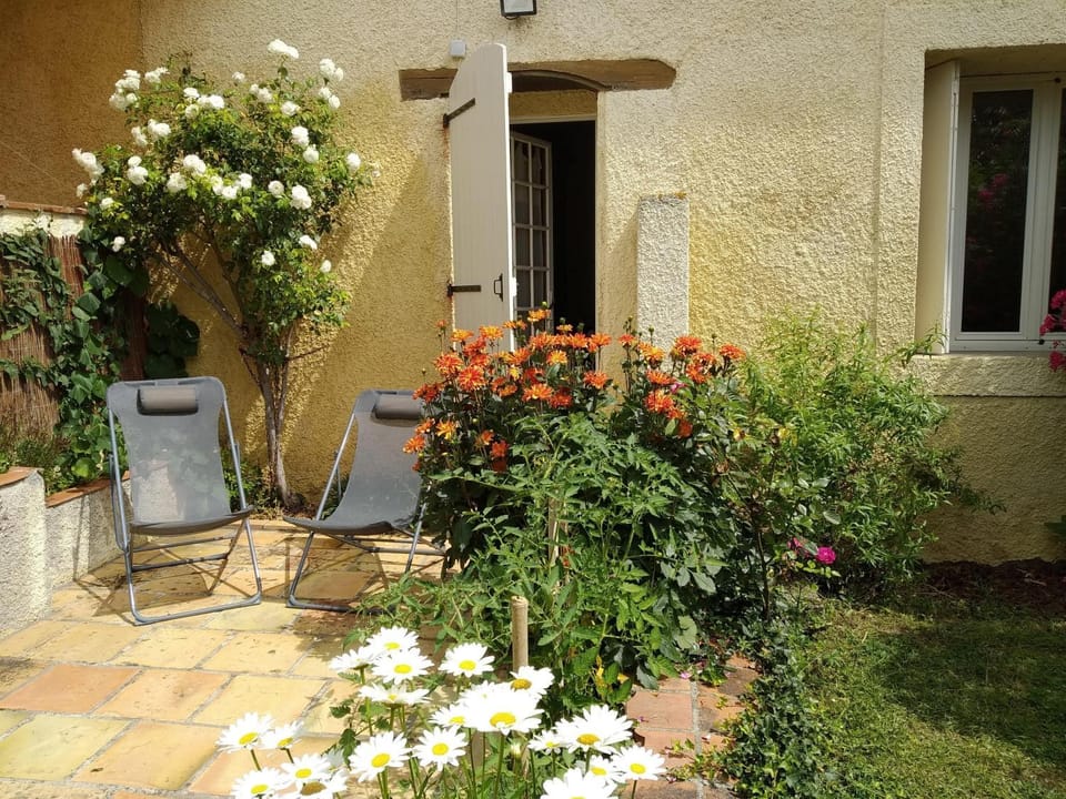 Garden, Balcony/Terrace