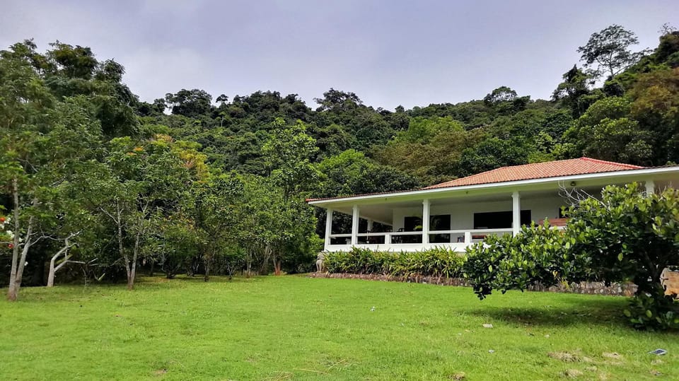 Property building, Day, Natural landscape, Garden