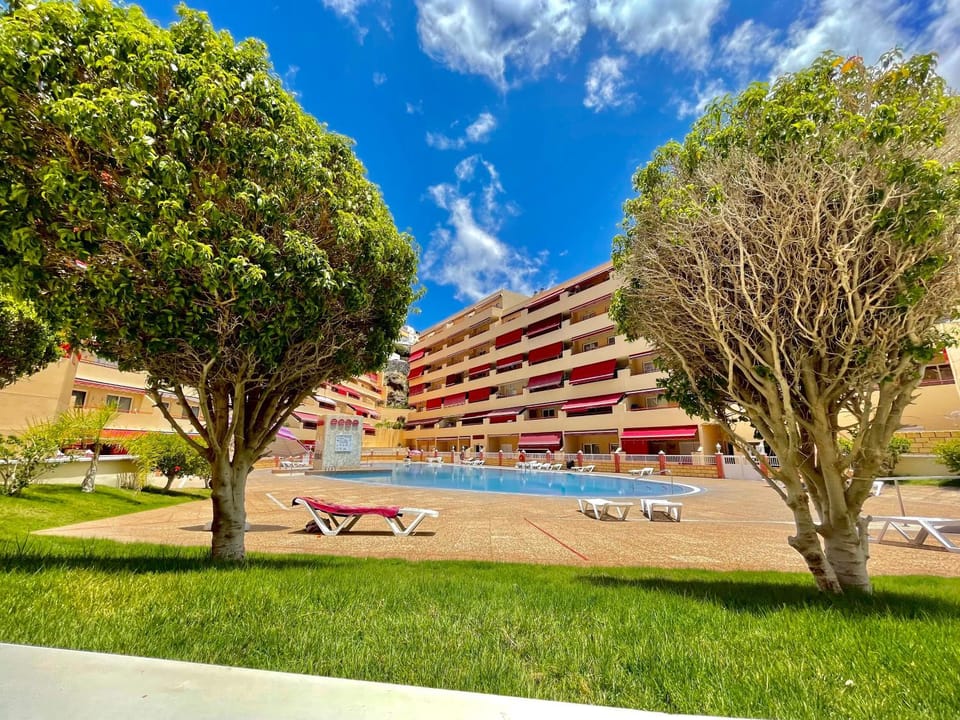 Property building, Garden, Swimming pool, sunbed