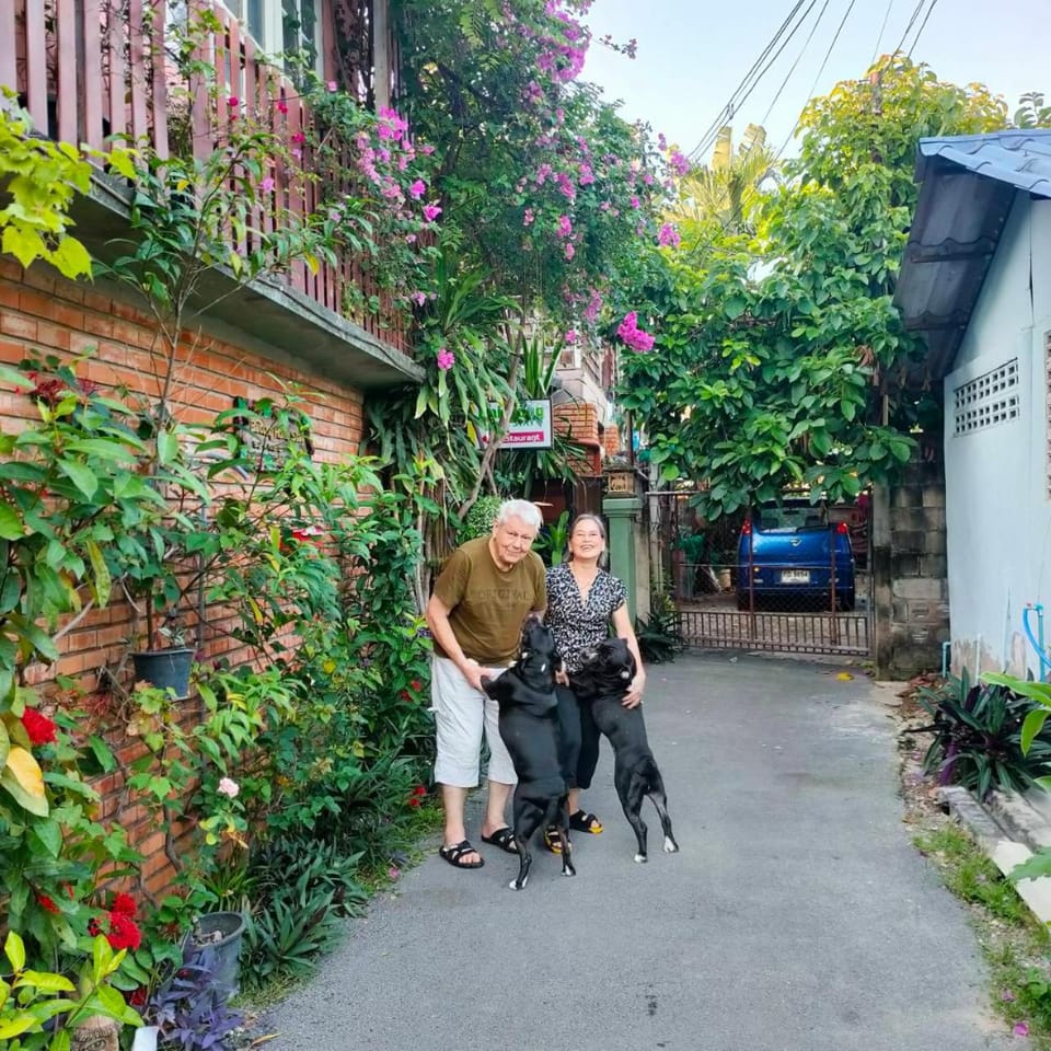 People, Pets, Street view