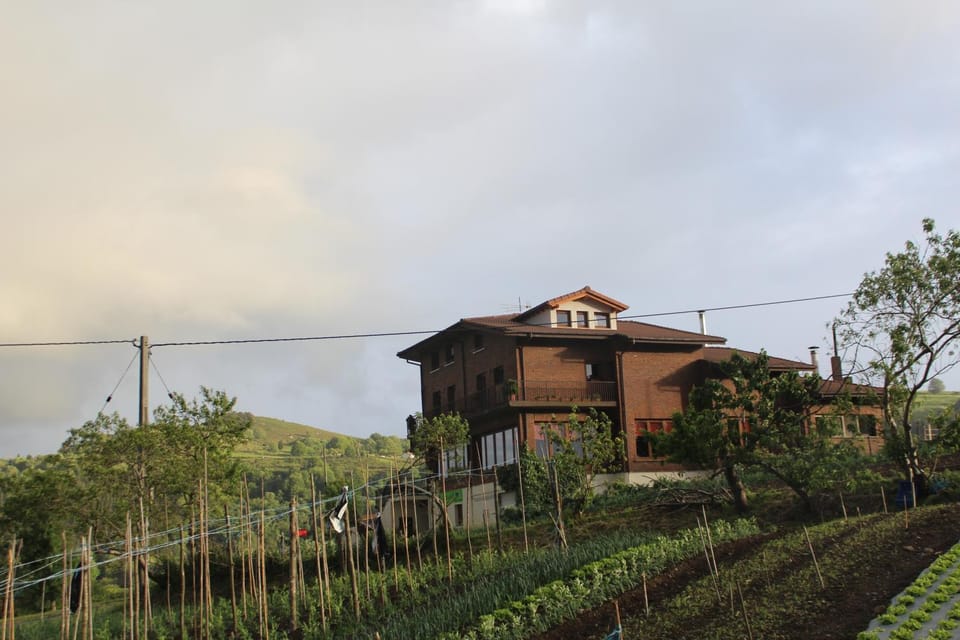 Property building, Neighbourhood