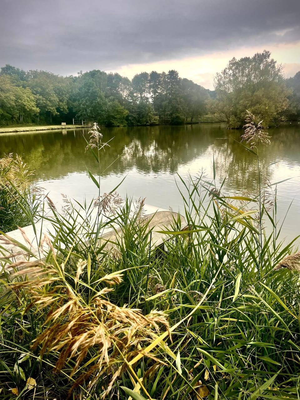 Penzion a restaurace U Nováků Bed and Breakfast in Czechia