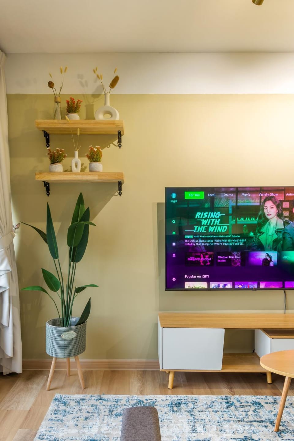 TV and multimedia