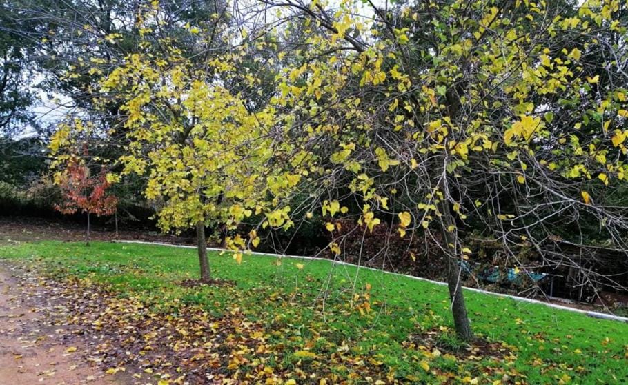Natural landscape